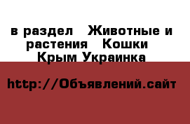  в раздел : Животные и растения » Кошки . Крым,Украинка